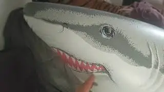 inflatable shark Intex 2004