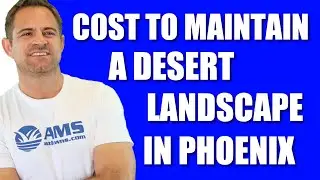 Cost To Maintain a Desert Landscape in Phoenix || AMSLandscaping