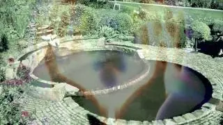 Asha ~ The mystic garden