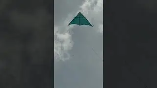 Delta wing Kite #boxkite #patang #kiteflying