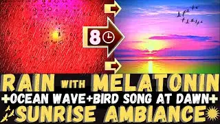 Sleep Better With Soft Rain on Window With Red Light Therapy & Increase Melatonin for Sleep Disorder