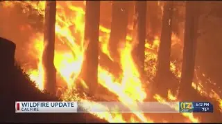 Cal Fire provides state wildfire update