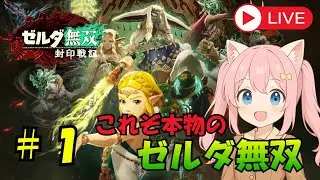 #1 【ゼルダ無双 封印戦記】おやすみ配信【Switch2】