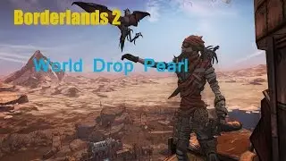 Borderlands 2 : World Drop Pearl from a Bandit!