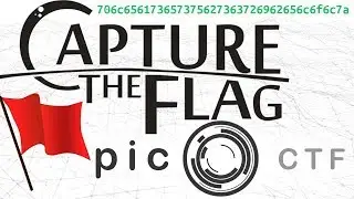 Intro Format String Vulnerability | PicoCTF 2017 [39] 