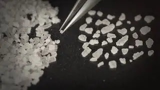 Counting Salt Crystals | ASMR