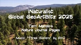 v1 iNaturalist's Global GeoArtBlitz 2025: Terri Mando's Nature Journal Pages flip thru