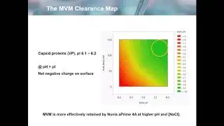 15-minute Webcast: Assessing Viral Clearance in Early Phase Process Development