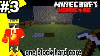 Minecraft one block heart core house 