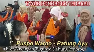 LANGEN TAYUB || 𝙋𝙐𝙎𝙋𝙊 𝙒𝘼𝙍𝙉𝙊 || 𝙋𝘼𝙏𝙐𝙉𝙂 𝘼𝙔𝙐 || DI KEDIAMAN BPK SETU TUGUREJO