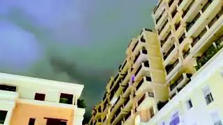 #jungle