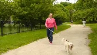 SmartLeash | Рулетка с автоматическим тормозом