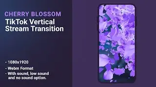 🌸Purple Cherry Blossom &ndash; TikTok Vertical Stream Transition | Petals for OBS & Streamlabs (1080x1920)