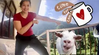 Meditation, Chai, and Goats. Explore Bhagsu, India and Tushita Meditation Centre. 💫