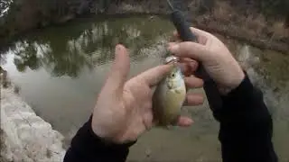 Free time creek fishing #LegendaryFishing