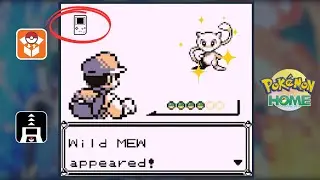 🐱Shiny Hunt: ¿Cómo conseguir al LEGENDARIO MEW?🐱Te explico paso a paso
