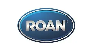 Коляска универсальная Roan Classic Bloom 2 в 1