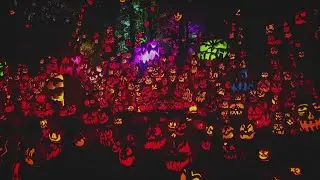 Pumpkin exhibit in Minnesota showcases unique jack-o'-lantern designs