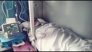 Go with Bihar&rsquo;s Hassle-free Train Ambulance Service from Patna to Delhi | ANSH AMBULANCE SERVICE