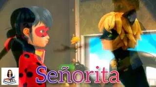 Señorita - Adrien & Marinette  [ AMV ]