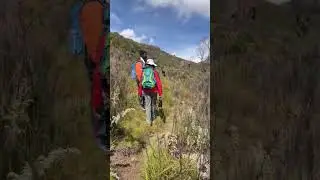 Join me on a quick hike through Mt Elgon&rsquo;s trails.Fresh air and stunning views. #mt.elgon