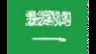 SA-flag