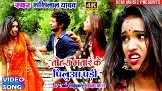 || तोहरा भतार के पिलुआ पड़ी || Tohara Bhatar Ke Piluya Padi || शशि लाल यादव का हिट वीडियो