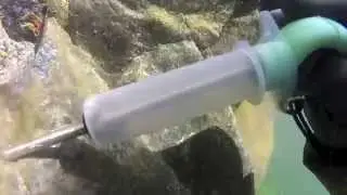 Gold sniping a rich crevice along the Yuba river, sneak peak