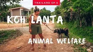 OUR IMPRESSIONS OF KOH LANTA ANIMAL WELFARE | THAILAND TRAVEL VLOG