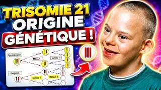 Cause de la Trisomie 21 (syndrome de Down): Comment se produit la Non-Disjonction Chromosomique?