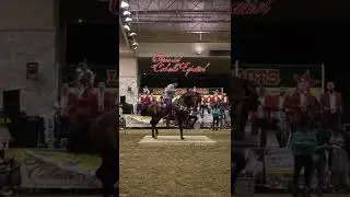 Andy Torres en el Mercenario JT en la Feria del caballo Espa&ntilde;ol