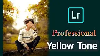 Professional pure yellow tone photo editing (LIGHTROOM) '' How to photo color grading?