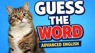 Everyday English Idioms (B1 Level)