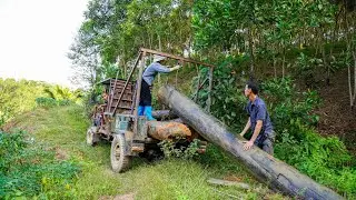 A strong single mother hauls wood to build a shelter for herself and her daughter. - Ly Tieu Tuyet
