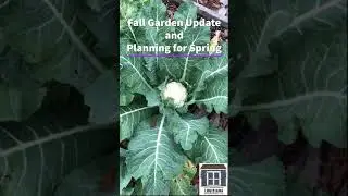 Fall Garden Update and Planning for Spring