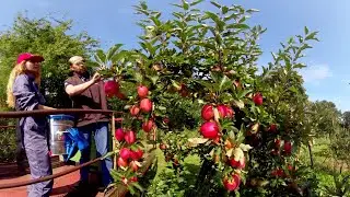 Docu-fiction 360°: apprentie arboricultrice et viticultrice