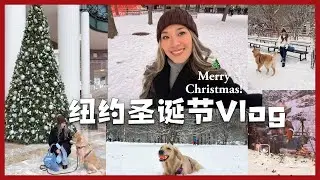 Christmas in New York Vlog｜2026第一支Vlog🎄作为纽约local的第一个圣诞｜暴风雪后的中央公园｜我的Chinatown必吃分享｜华尔街铜牛｜坐船去看自由女神🗽