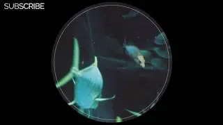 Udmo - Point Roadknight