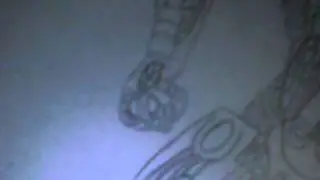 EPIC Drawing Of The Arbiter From HALO 3