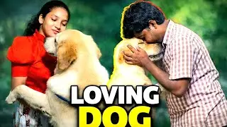 Loving Dog 