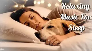 Warm Dream Sleep &mdash; Quiet Breathing Rhythm