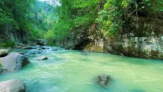 🌊 Smooth Water Flow ASMR | Soothing River Sounds for Relaxing Sleep, deep focus,  Stress-Free Focus