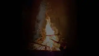 Ton Farr&eacute; - Saudade