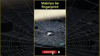 Spider ki identification proof | #spideridentification | #Shorts