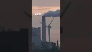 The Shocking Blackout  A Lesson in Energy Security