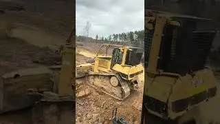 Same old same. #logging #cat #work #dirt #mud