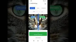 MinifyPic.com &ndash; Free Online Image Compressor | Fast, Simple & High Quality