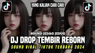 DJ DROP TEMBIR REBORN BY AYUU FVNKY VIRAL TIK TOK TERBARU 2024