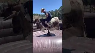 Mechanical Bull riding [2022]