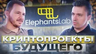 Блокчейн разработчик о NFT, Step`n, Terra Luna и других модных вещах в мире крипты